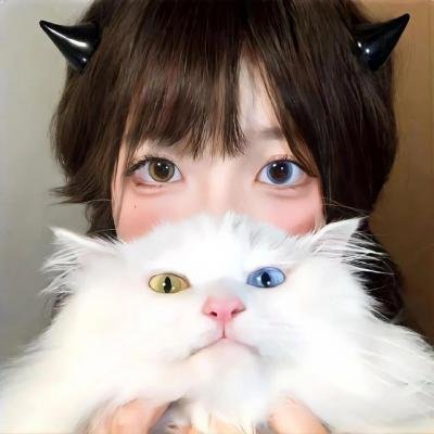 双生赤狐